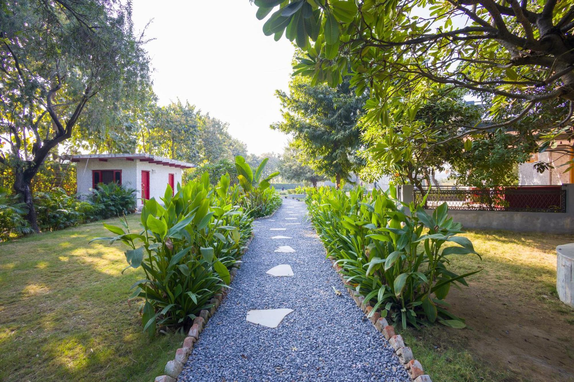 Elivaas Hidden Oasis 4Bhk With Pool, Mud House & Container House Villa Dhauj Exteriör bild